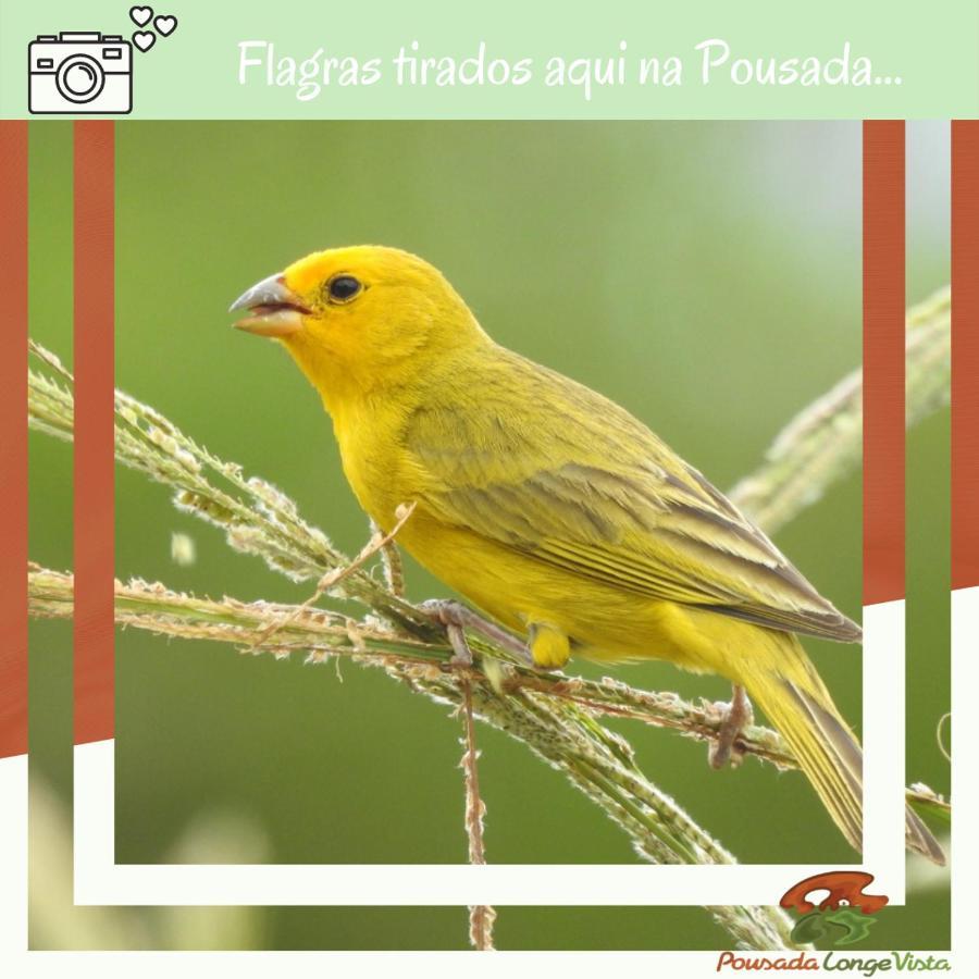 Pousada Longe Vista Tibagi Esterno foto